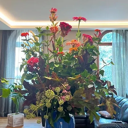 Апартаменты Magnifico Roero Relax Tre *